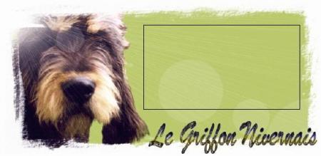a retenir chiots griffon nivernais