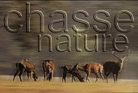 la chasse