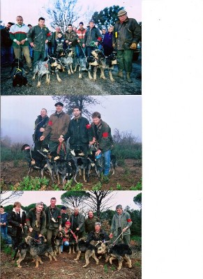 le brevet de chasse au sanglier en chautagne